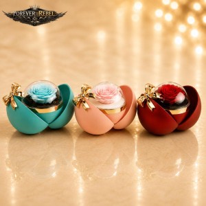 Rozenbelofte Ringcase