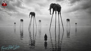 The Lie We Become - Serie van 7 