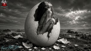2 - Shell and Skin - Serie van 2